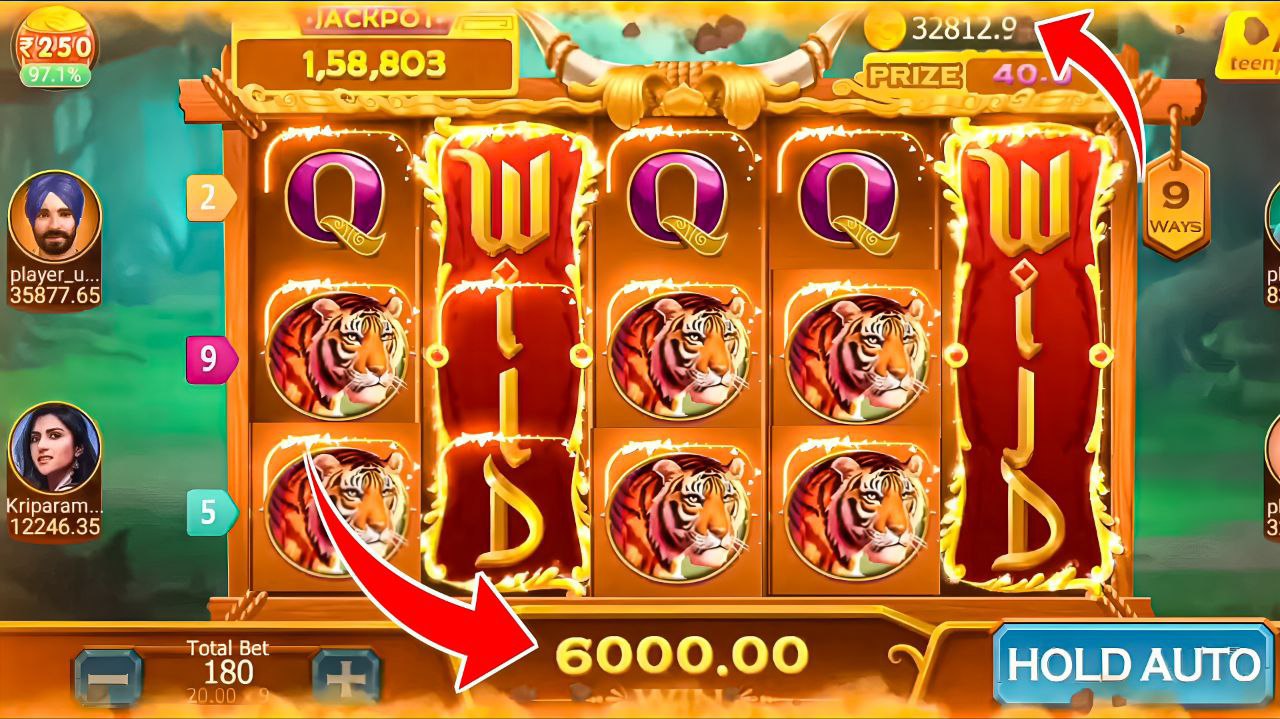 photo_6075840275600753153_y